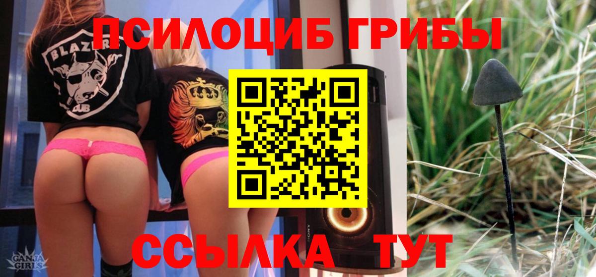 Богородицк  Псилоцибиновые грибы Psilocybe  Псилоцибиновые грибы мухоморы  Вход с VPN 